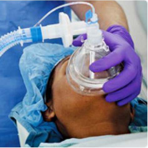 Pulmonetics Test Lung Kit 1 (EA)