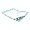 Wings Fluff and Polymer Underpad, 23